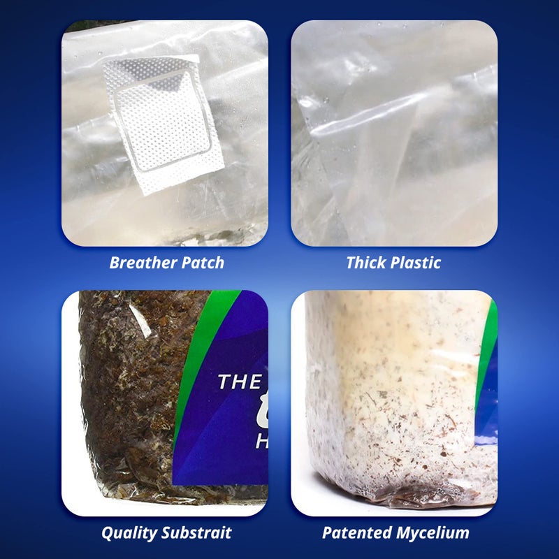 Exhale Homegrown CO2 365 - Self-Activated Bag for Grow Rooms & Tents - Great for Indoor Grow Rooms - CO2 for Grow Tents - 4 lbs - Image 2