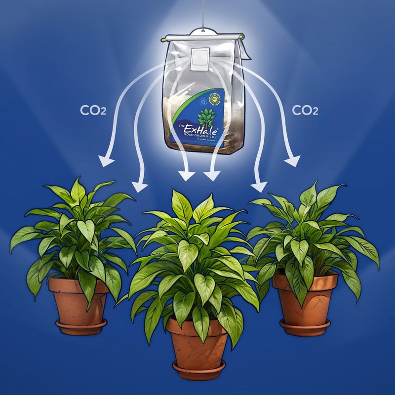 Exhale Homegrown CO2 365 - Self-Activated Bag for Grow Rooms & Tents - Great for Indoor Grow Rooms - CO2 for Grow Tents - 4 lbs - Image 4
