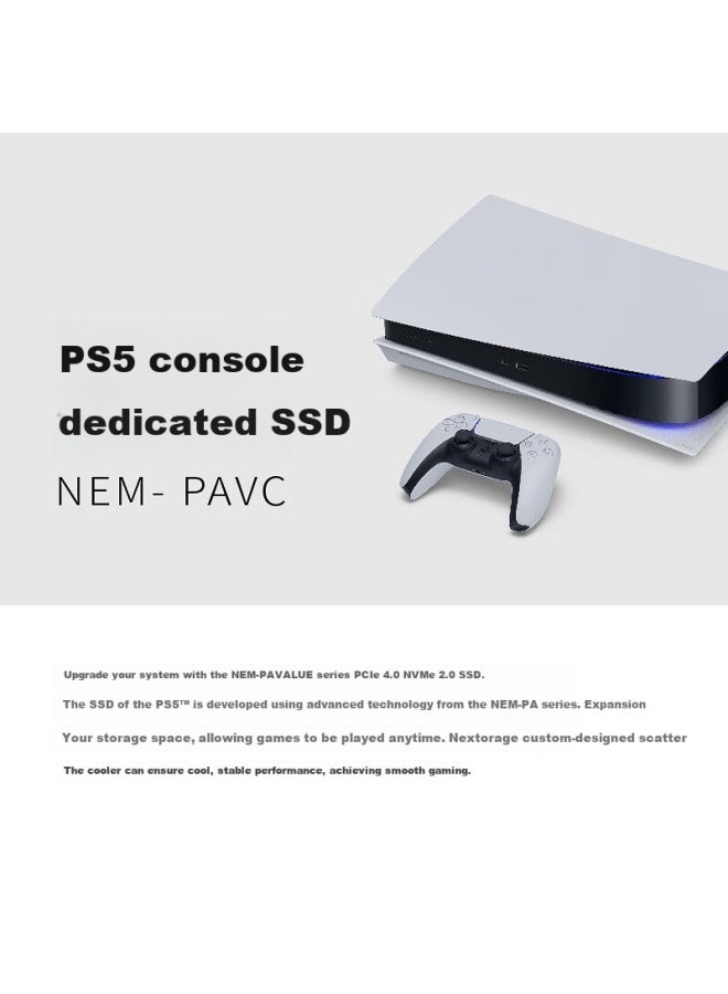 Nextorage نكسوراج 1 تيرابايت SSD، قرص صلب توسيعي لجهاز PS5، واجهة M.2 (بروتوكول NVMe PCIe 4.0)، مع مبرد، سلسلة شوان يين NEM-PAVC1TB - Image 3