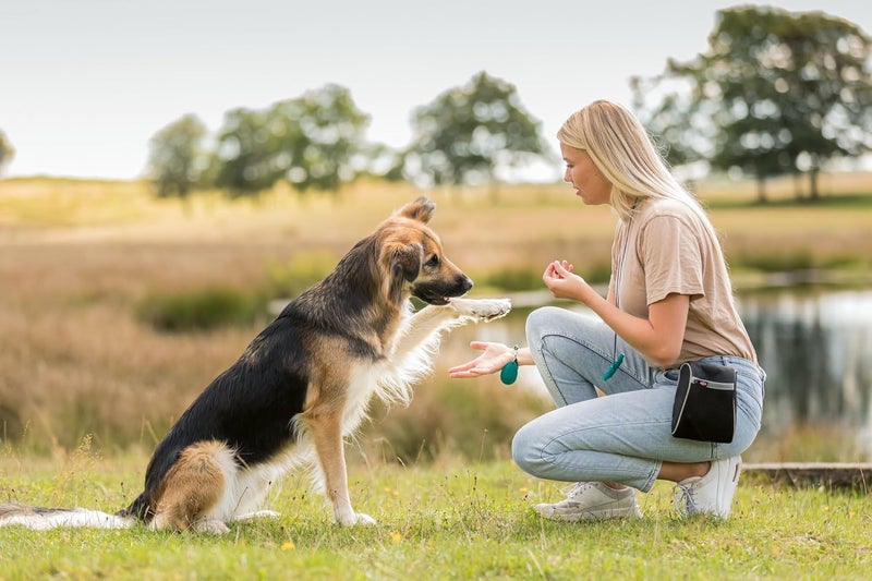 Trixie Denta Fun Chewing Ring with Chicken Dog Chew - 110G - Image 3