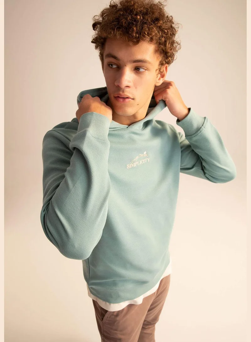 DeFacto Man Slim Fit Crew Neck Long Sleeve Knitted Sweatshirt