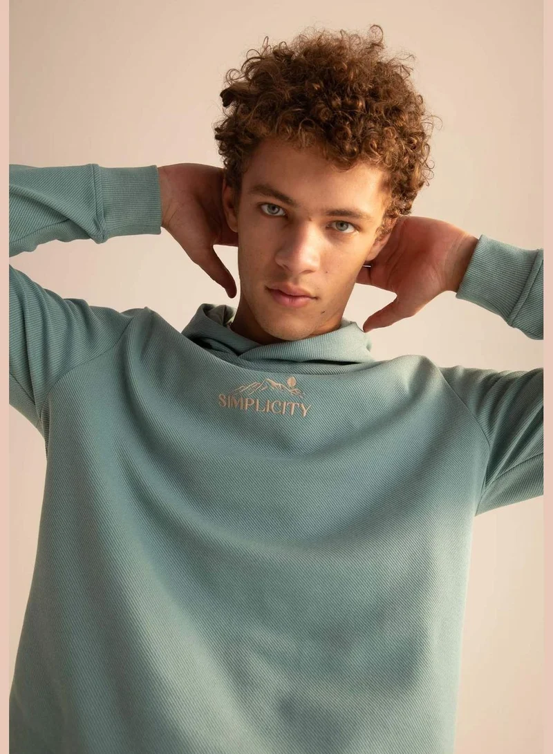 DeFacto Man Slim Fit Crew Neck Long Sleeve Knitted Sweatshirt