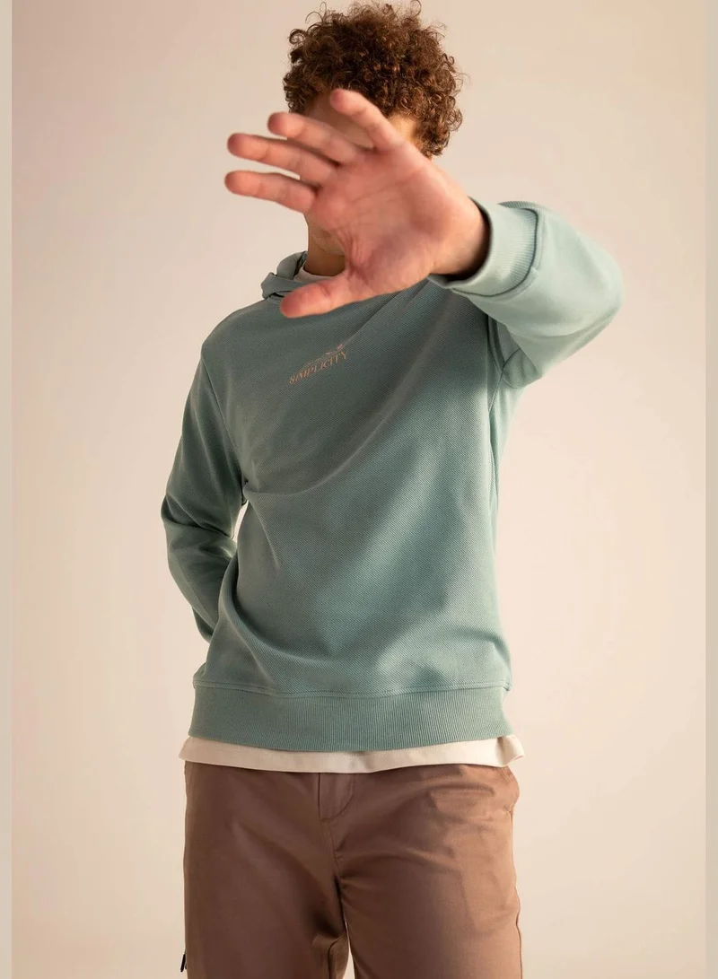 DeFacto Man Slim Fit Crew Neck Long Sleeve Knitted Sweatshirt