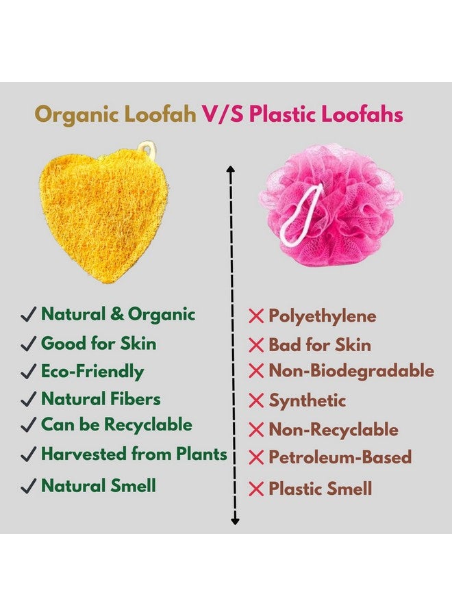 Dinya™ - Buy Heart Natural Sun Dried Loofah Bath Sponge I For Men, Women & Kids I Biodegradable and Eco-Friendly (2 Count) - Image 2