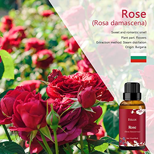 ESSLUX Rose Essential Oil ESSLUX Aromatherapy Oils for Diffuser Massage Soap Candle Making Perfume 30 ml - Image 3