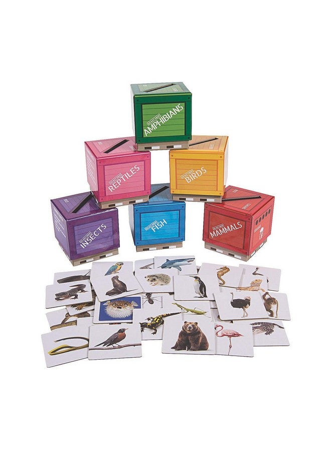 Fun Express Animal Classifications Sorting Boxes - 37 Pieces - Educational and Learning Activities for Kids - Image 1