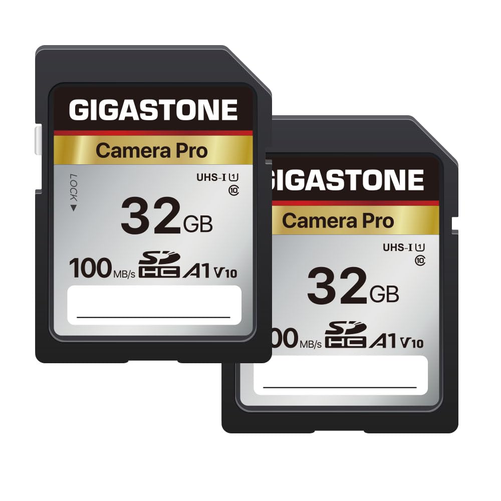 ã€5-Years Data Recovery】 GIGASTONE 32GB SD Card 2-Pack, Camera Pro, A1 V10 SDHC Memory Card Compatible with SPYPOINT TACTACAM Trail Camera, with 2 Mini Cases