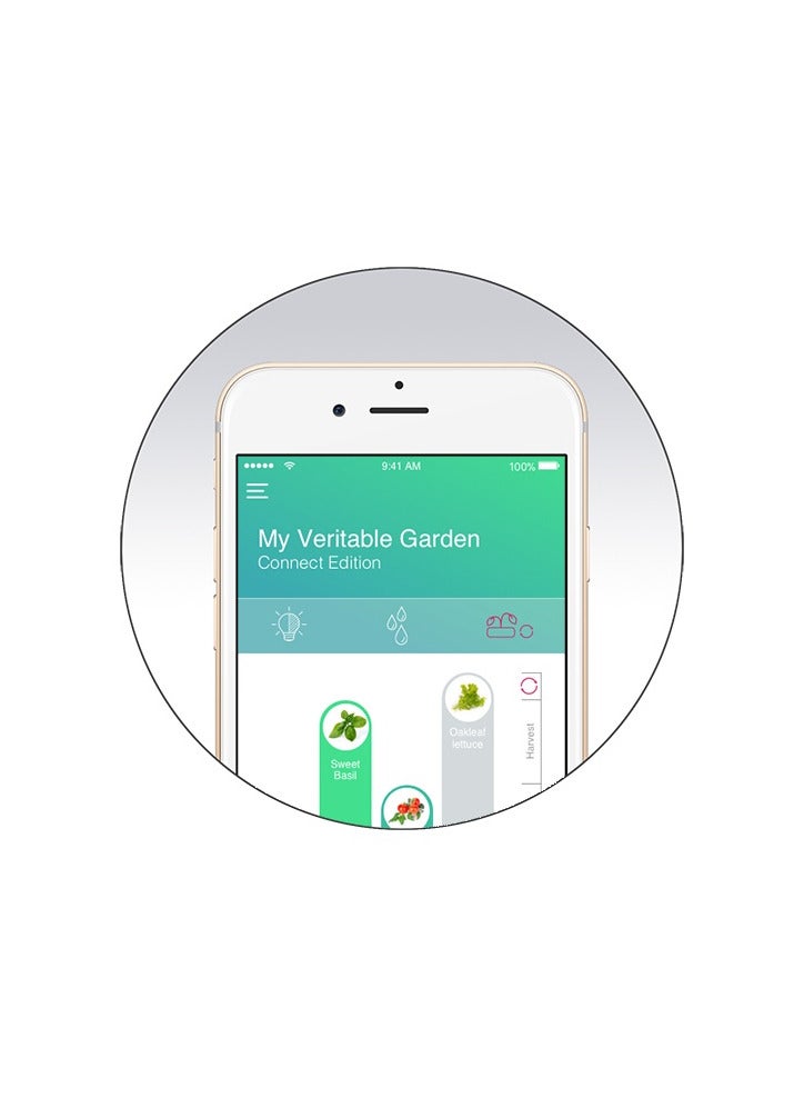 Veritable حديقة فيرتابل الداخلية المتصلة، رمادي إنفينيتي - Image 5