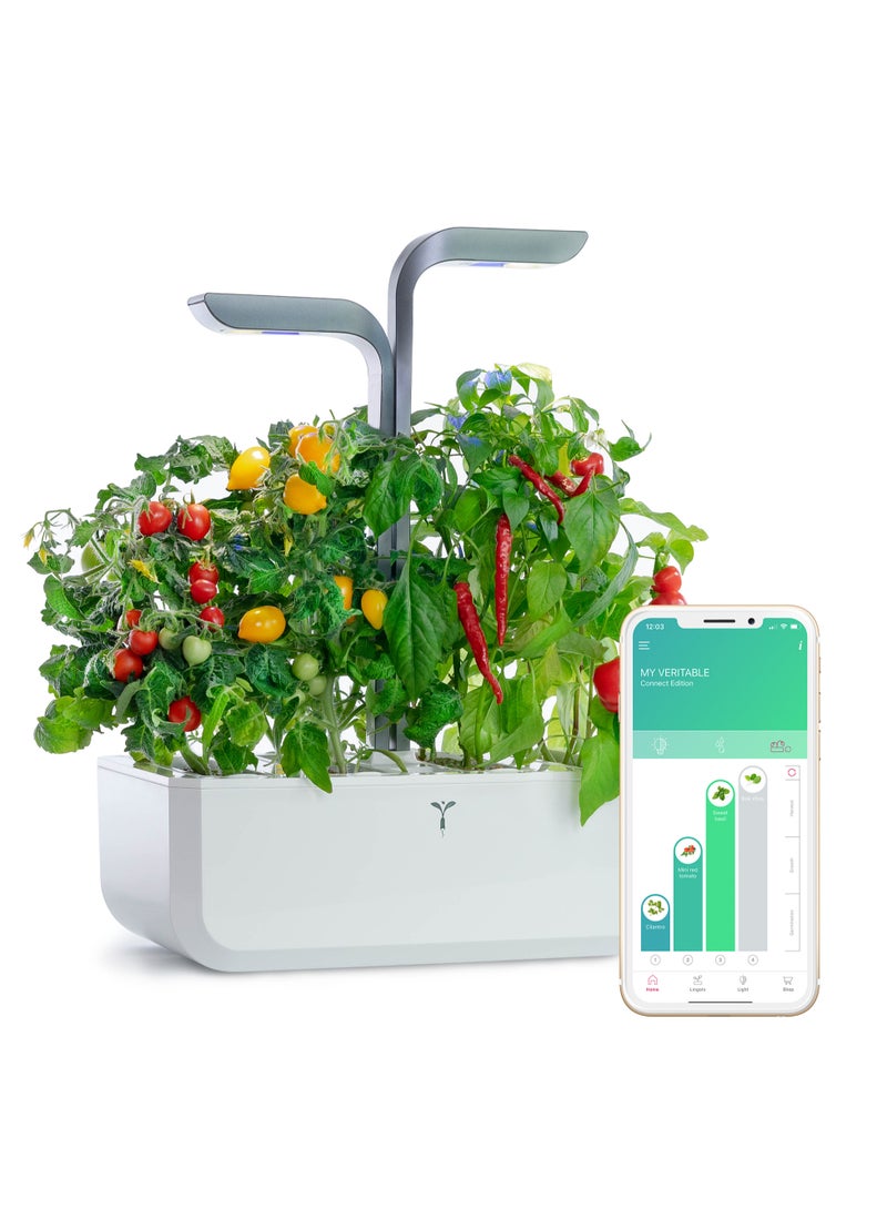 Veritable حديقة فيرتابل الداخلية المتصلة، رمادي إنفينيتي - Image 1