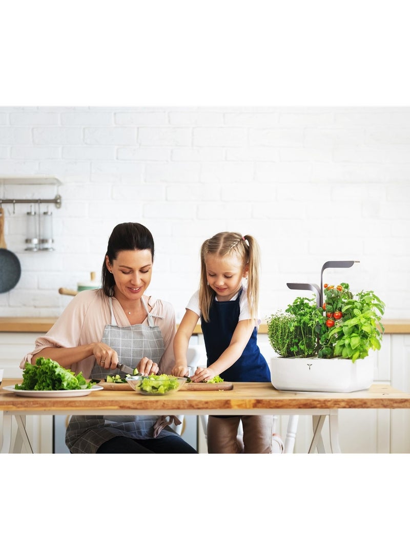 Veritable حديقة فيرتابل الداخلية المتصلة، رمادي إنفينيتي - Image 4