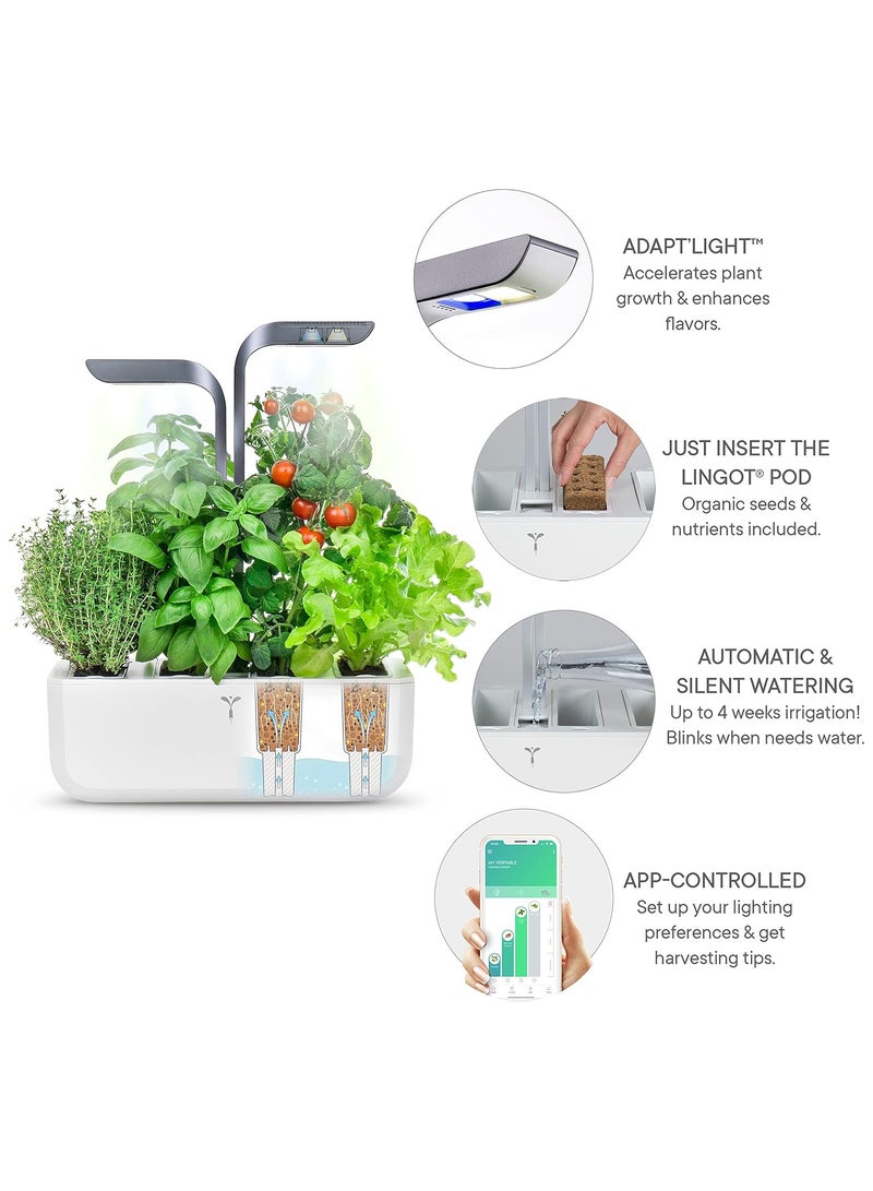 Veritable حديقة فيرتابل الداخلية المتصلة، رمادي إنفينيتي - Image 3