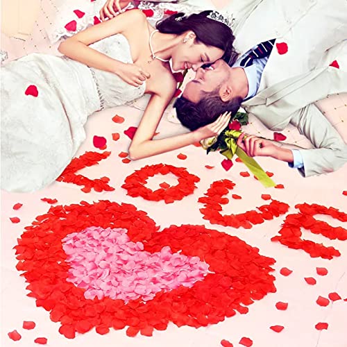 BinaryABC Artificial Rose Petals,Romantic Flower Decor Wedding(Dark Red) - Image 2