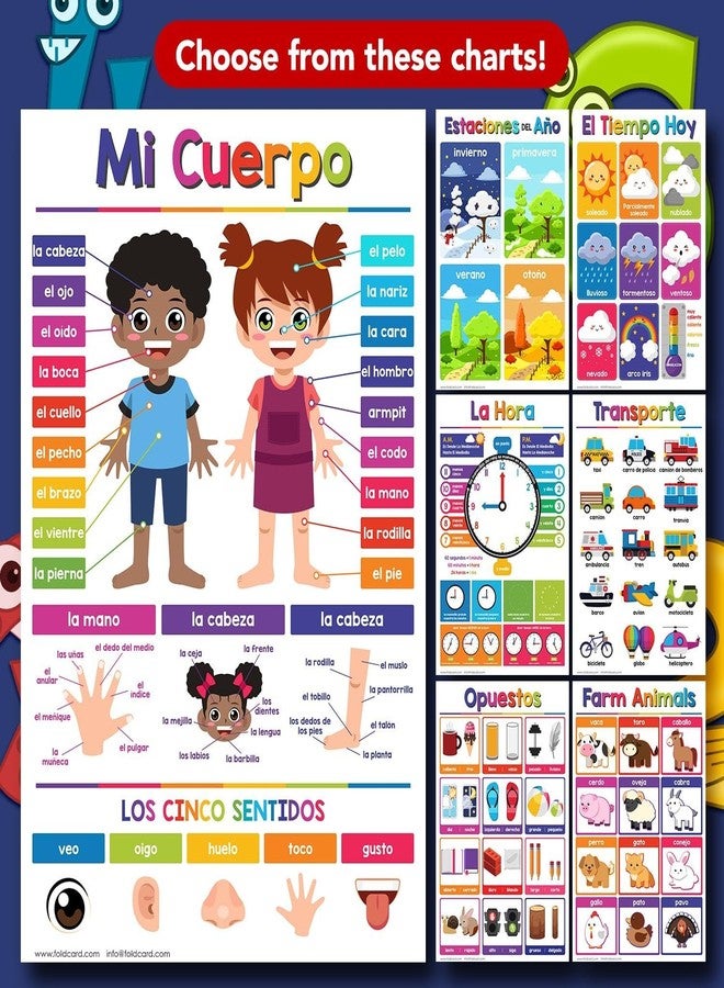 FoldCard Opuestos Spanish Chart for Preschool to Gradeschool – Opposites Educational Visual Learning Aid Wall Art Poster Decoration for Classrooms and Homes | Glossy Durable Cardstock | 11" x 17" | 5 per Pack - Image 3
