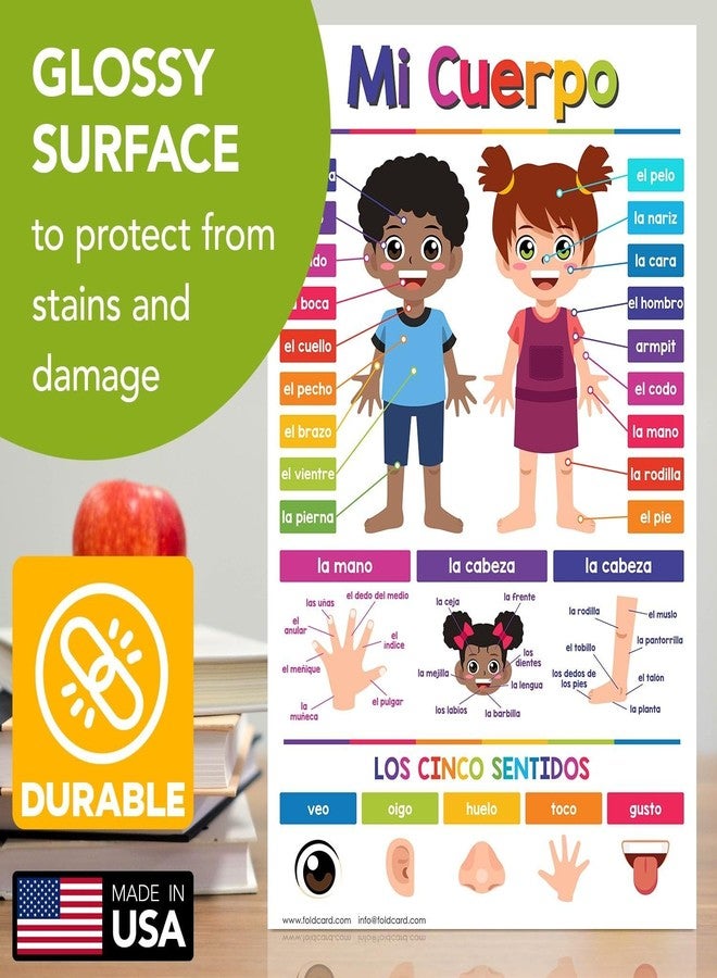 FoldCard Opuestos Spanish Chart for Preschool to Gradeschool – Opposites Educational Visual Learning Aid Wall Art Poster Decoration for Classrooms and Homes | Glossy Durable Cardstock | 11" x 17" | 5 per Pack - Image 4