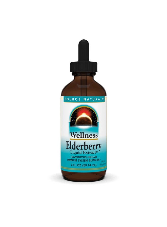 Source Naturals Wellness Elderberry Extract, 2 OZ - Immune System Support* - Image 1