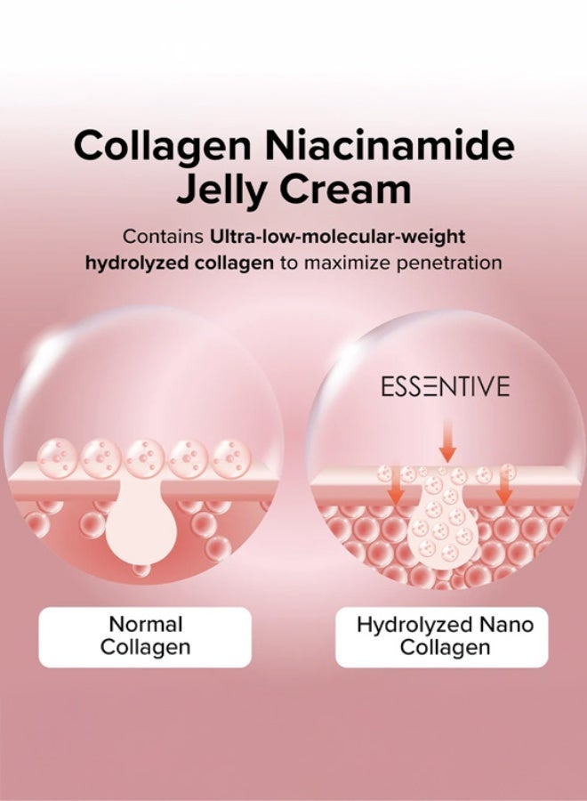 Essentive Collagen Jelly Cream – Niacinamide + Freeze-Dried Hydrolyzed Collagen – 24Hr Deep Hydration, Glow & Firming – Improves Skin Barrier, Brightens & Lifts – Anti-Aging Korean Skincare for All Skin Types - Image 5