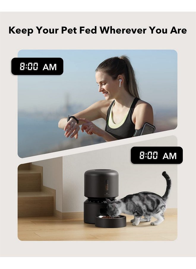 Automatic Cat Feeder, Automatic Cat Food Dispenser With Freshness Preservation, Timed Cat Feeders For Dry Food, Up To 50 Portions 6 Meals Per Day, Granary Pet Feeder For Cats