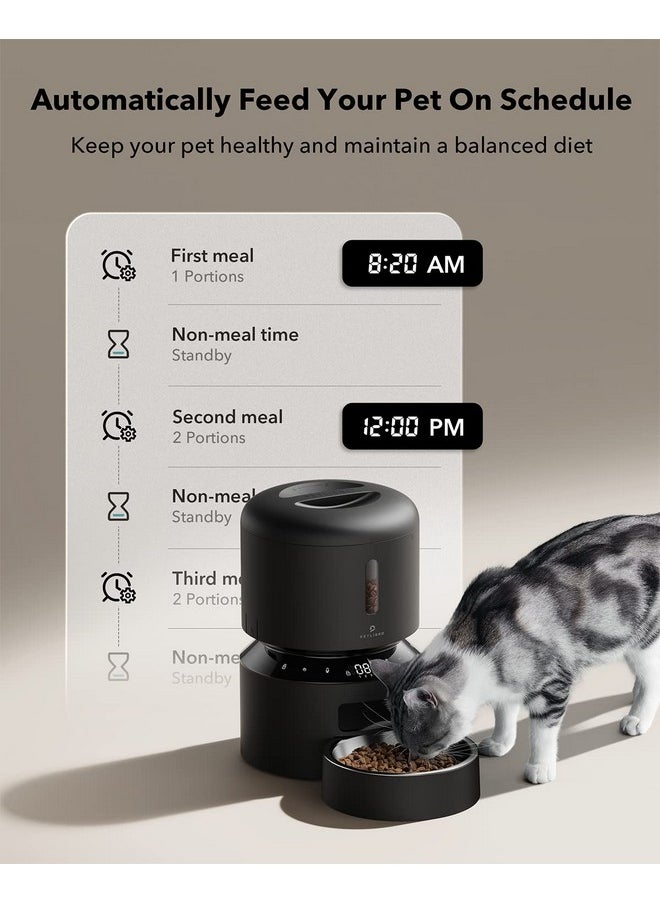 Automatic Cat Feeder, Automatic Cat Food Dispenser With Freshness Preservation, Timed Cat Feeders For Dry Food, Up To 50 Portions 6 Meals Per Day, Granary Pet Feeder For Cats
