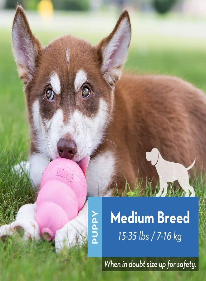 كونج كونغ - جرو وزيغيز - ألعاب جرو للتسنين مع مكافآت (قد تختلف الألوان) - للجراء متوسطة الحجم - Image 2