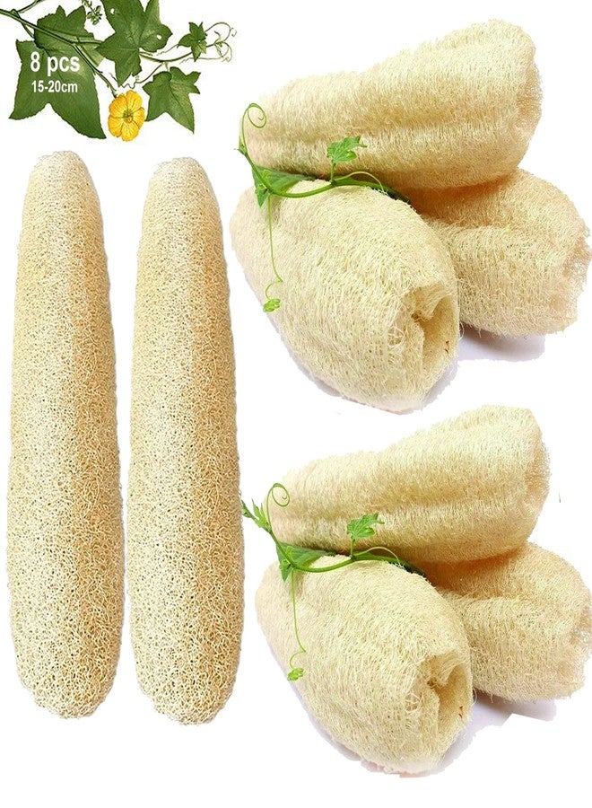 Mini Storify Truly Organic ميني ستوريفاي - ليفة طبيعية للجسم - عبوة من 8 قطع - ليفة عضوية/إسفنجة ليفة لتقشير الجسم والاستحمام - مقشر ليفة صديق للبيئة للرجال والنساء - Image 1