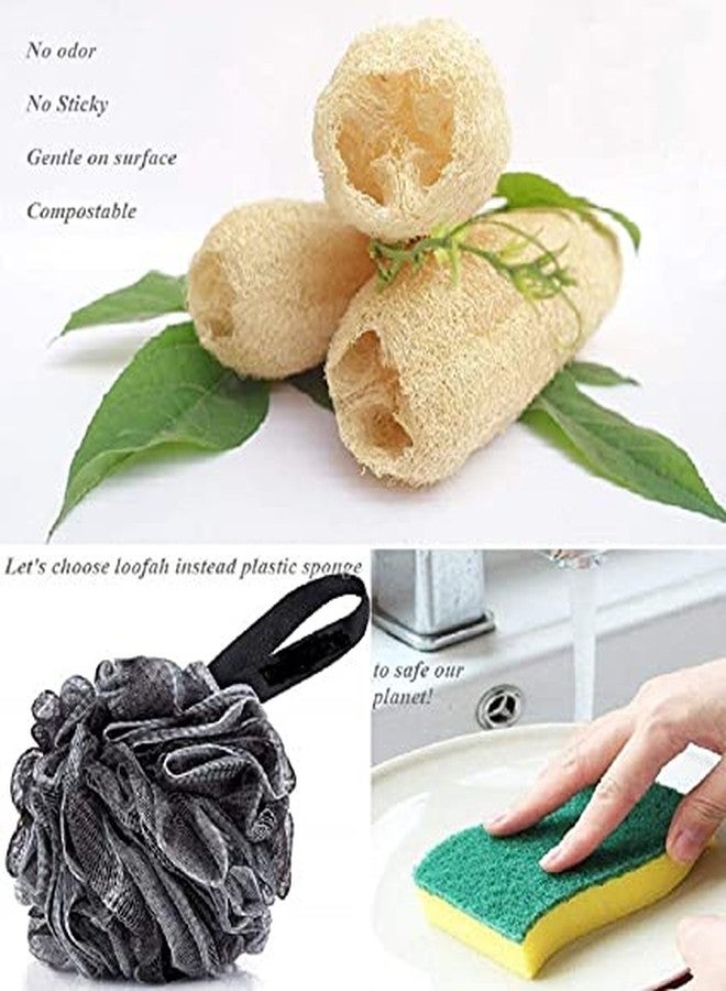 Mini Storify Truly Organic ميني ستوريفاي - ليفة طبيعية للجسم - عبوة من 8 قطع - ليفة عضوية/إسفنجة ليفة لتقشير الجسم والاستحمام - مقشر ليفة صديق للبيئة للرجال والنساء - Image 4