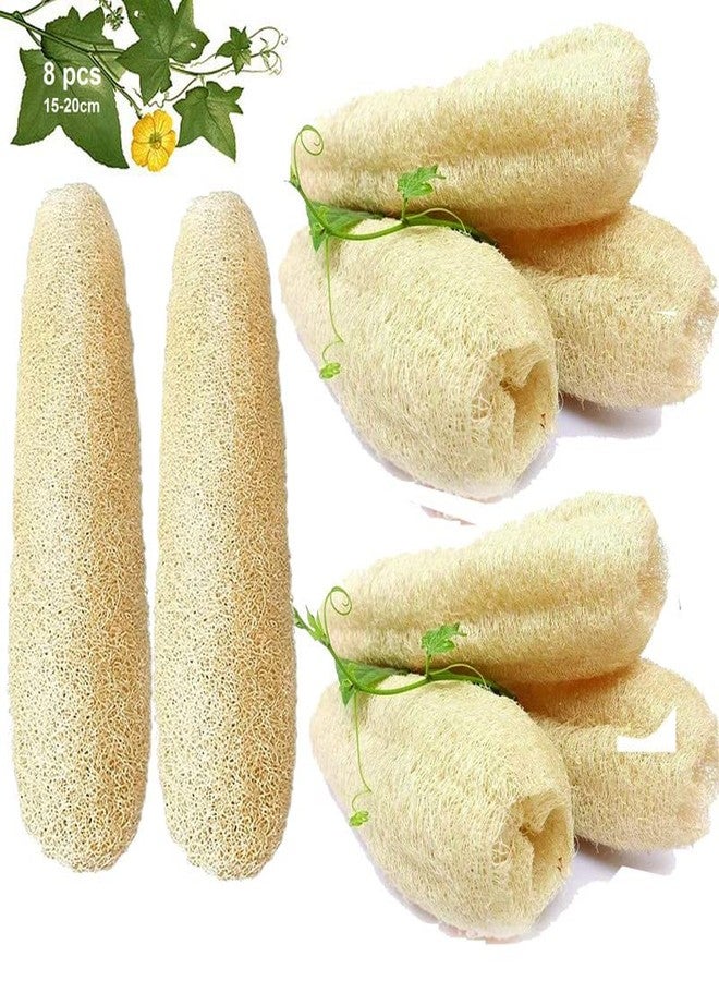 Mini Storify Truly Organic ميني ستوريفاي - ليفة طبيعية للجسم - عبوة من 8 قطع - ليفة عضوية/إسفنجة ليفة لتقشير الجسم والاستحمام - مقشر ليفة صديق للبيئة للرجال والنساء - Image 2