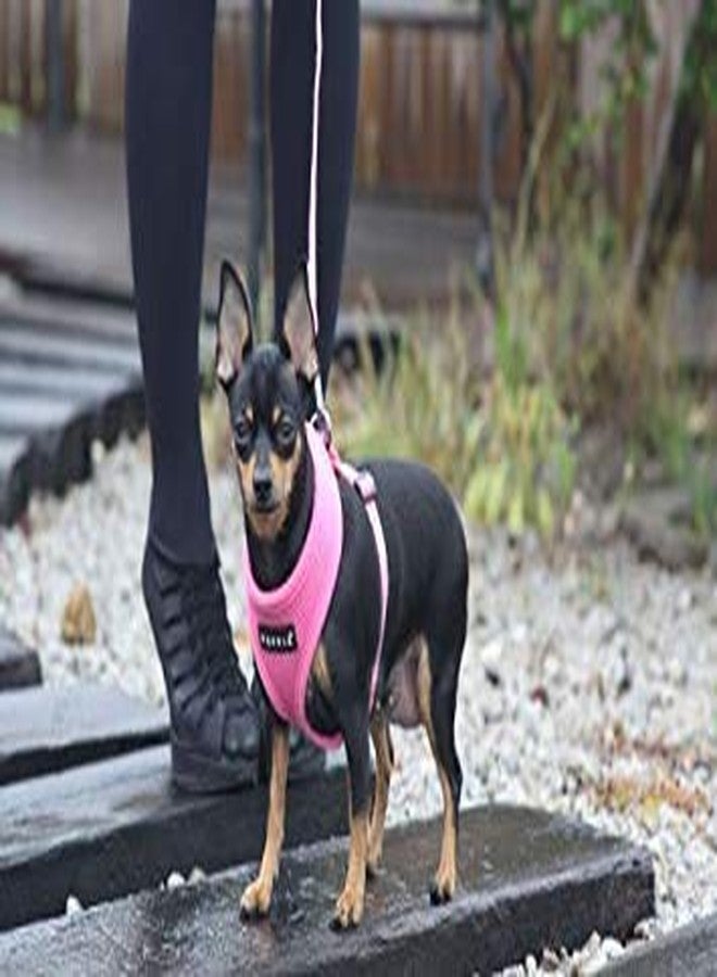 Puppia Soft Dog Harness No Choke Over-The-Head Triple Layered Breathable Mesh Adjustable Chest Belt and Quick-Release Buckle, Pink, X-Large - Image 3