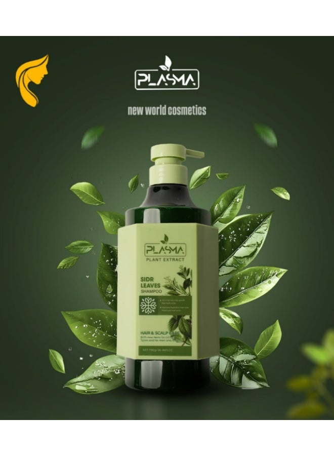شامبو أوراق السدر للعناية بالشعر وفروة الرأس 750 جرام
