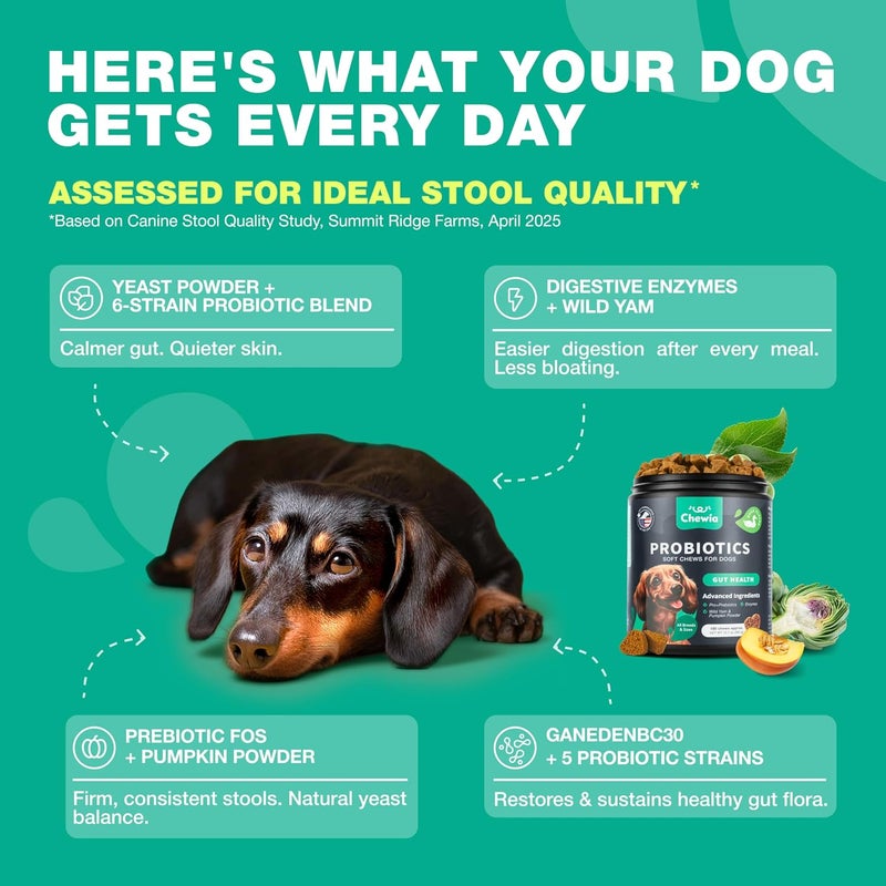 CHEWIA Probiotics for Dogs Gut Health, Digestion, Immunity, Yeast Balance, Itchy Skin, Allergies Support - Dog Probiotic Chews with Digestive Enzymes for Gut Flora- Soft Treats with Pumpkin and Yeast Powder - Image 4