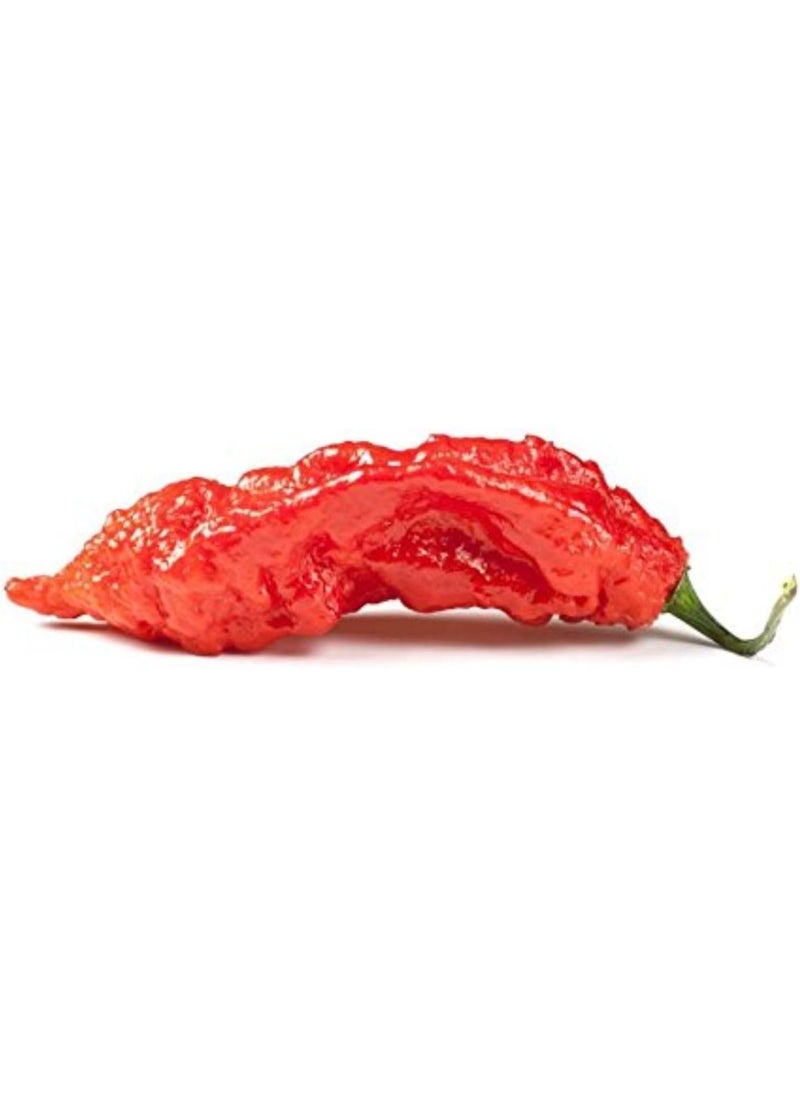 Kiva Kiva Gourmet Smoked Ghost Pepper Powder (Bhut Jolokia) – Non-GMO, Vegan, Fair Trade – Extra Hot Chili Spice – 1.5 oz Jar  - Image 5