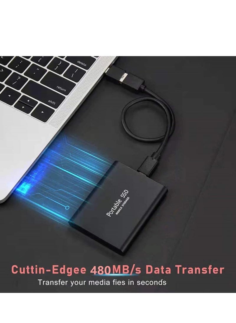 External Hard Drive 6TB, SSD Drives, Portable Solid State Data Storage Drive, Computer Backup with USB 3.0 (3.1) Type-C Support for PC Desktops Laptop Compatible XS Windows