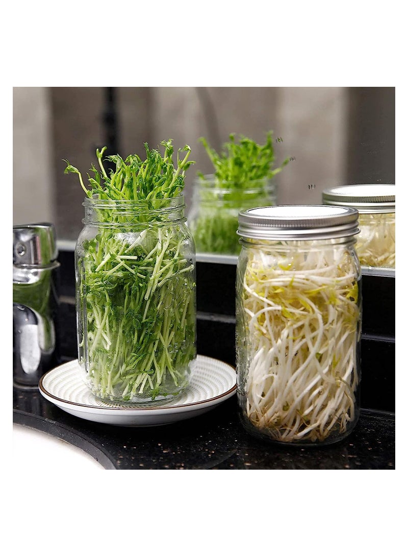 KASTWAVE Sprouting Wide Mouth Jar with Steel Mesh Lids and Stands, 16oz Sprouter Jars, for Broccoli Beans Microgreens Sprouts (2 Pack) - Image 2
