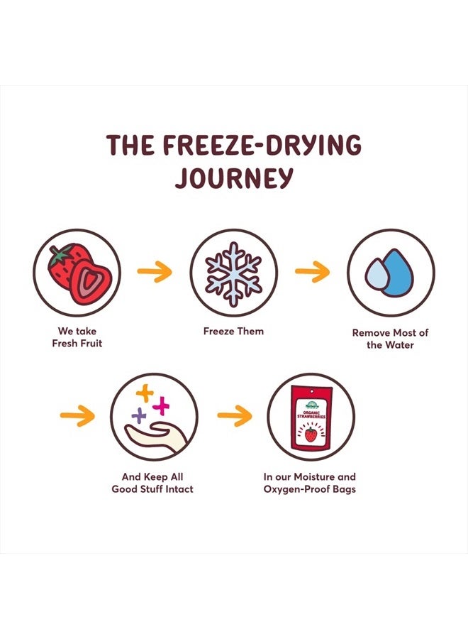 NATIERRA Nature's All Foods Organic Freeze-Dried Blueberries | Non-GMO & Vegan | 1.2 Ounce - Image 4