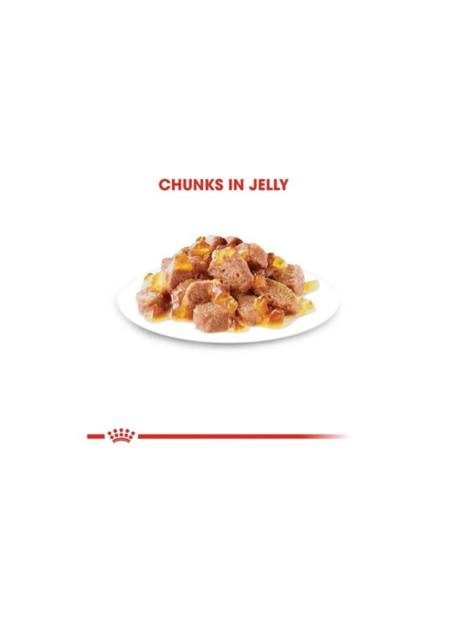 رويال كانين طعام رطب للقطط من الجيلي، مناسب للقطط من عمر 12 سنة فما فوق - 12 × 85 غرام - Image 3