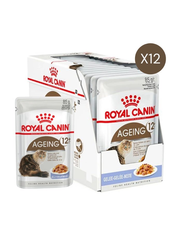 رويال كانين طعام رطب للقطط من الجيلي، مناسب للقطط من عمر 12 سنة فما فوق - 12 × 85 غرام - Image 1