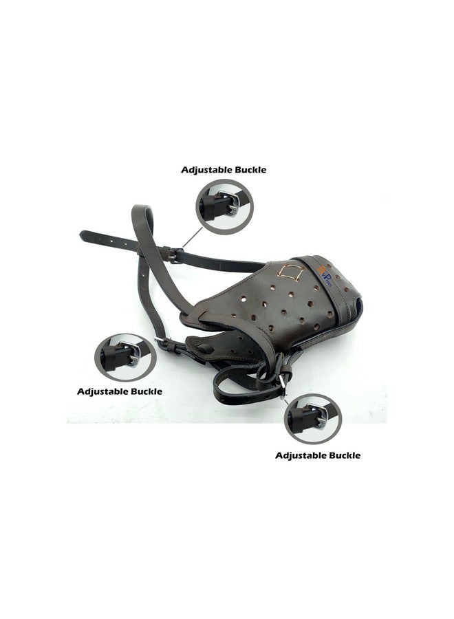 Pups&Pets Leather Dog Muzzle for Large German Shepherds Dog, Heavy Duty Leather Muzzle - X-Large Size - Image 3
