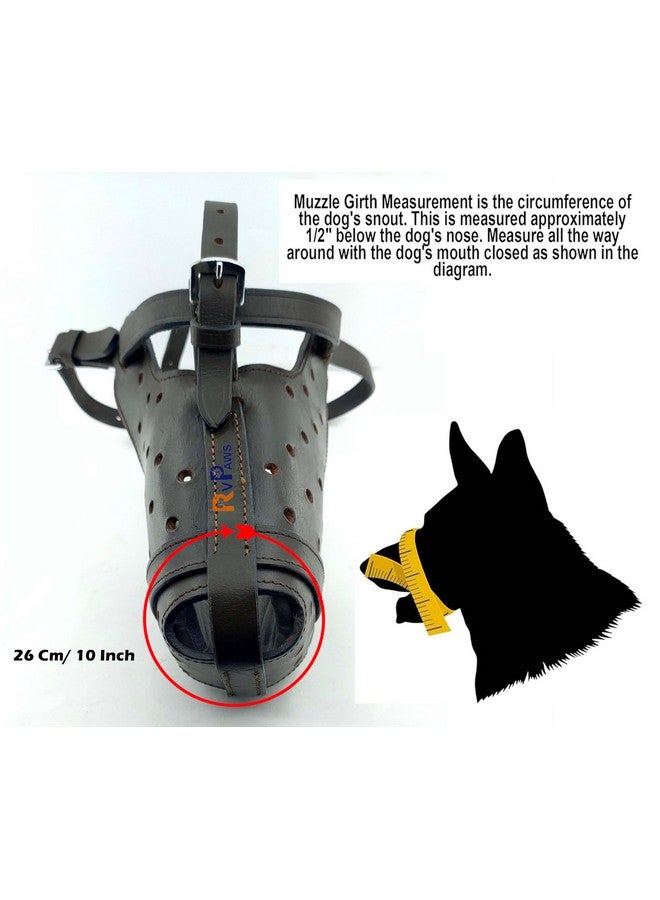 Pups&Pets Leather Dog Muzzle for Large German Shepherds Dog, Heavy Duty Leather Muzzle - X-Large Size - Image 4