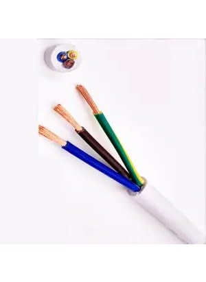 Litost Litost PVC Multi core Copper Wires 25 MM x 3 Core with ISI Mark Length 10 Meter32 Feet  - Image 3
