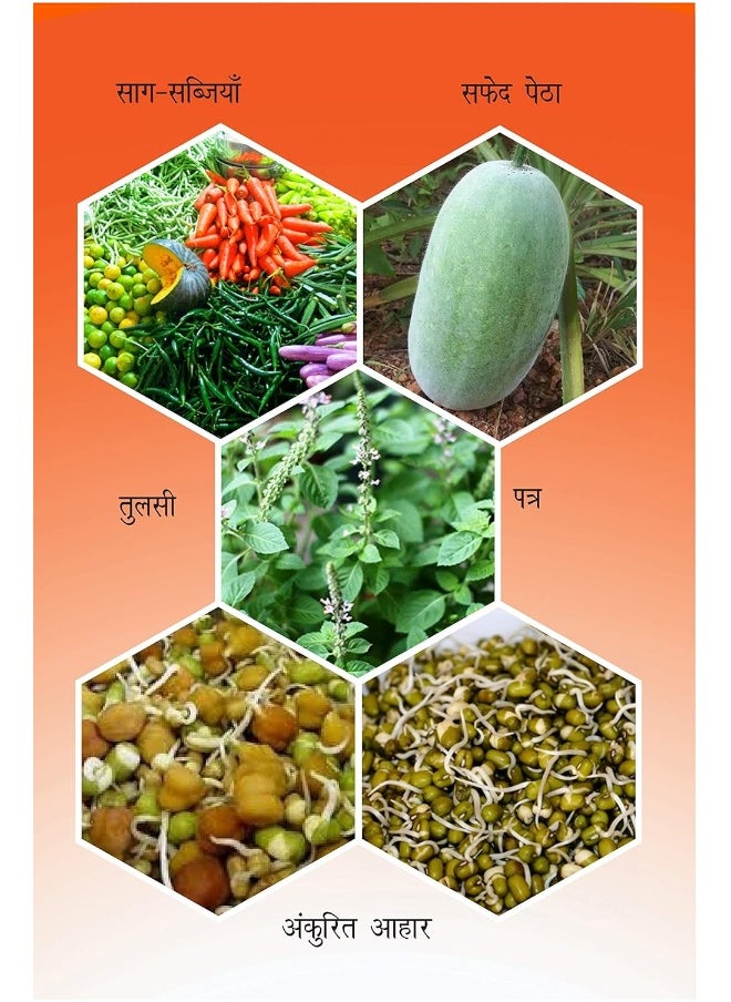 null - Sampoorn Svaasthya Ke Liye Praakrtik Jeevanashailee Evam Yogaabhyaas (Natural Lifestyle and Yoga for Whole Health) - Image 1