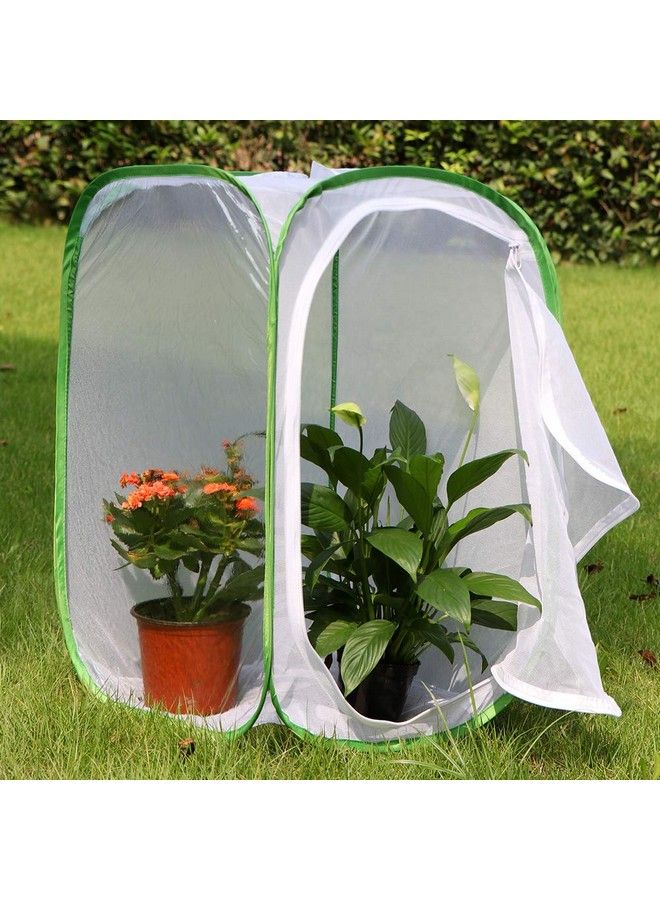 RESTCLOUD Insect And Butterfly Habitat Cage Terrarium Pop Up 24 Inches Tall With 10Pcs 10Ml Floral Tubes  - Image 4