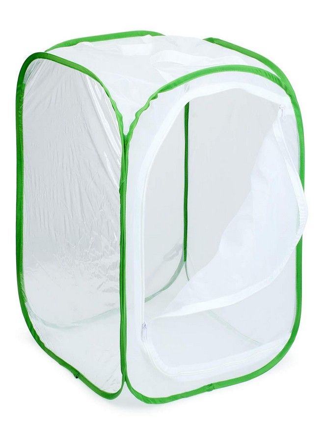 RESTCLOUD Insect And Butterfly Habitat Cage Terrarium Pop Up 24 Inches Tall With 10Pcs 10Ml Floral Tubes  - Image 5