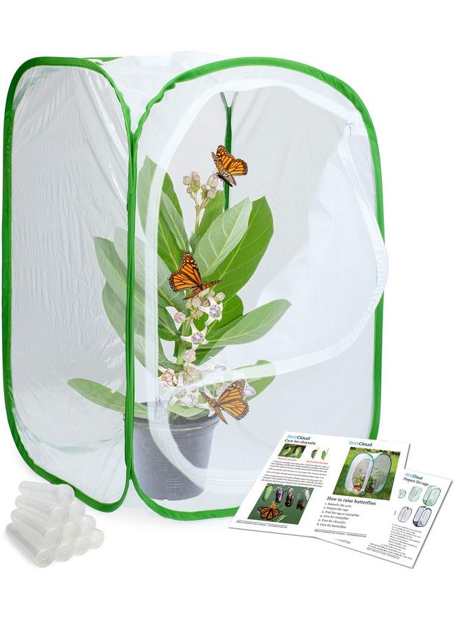 RESTCLOUD Insect And Butterfly Habitat Cage Terrarium Pop Up 24 Inches Tall With 10Pcs 10Ml Floral Tubes  - Image 2