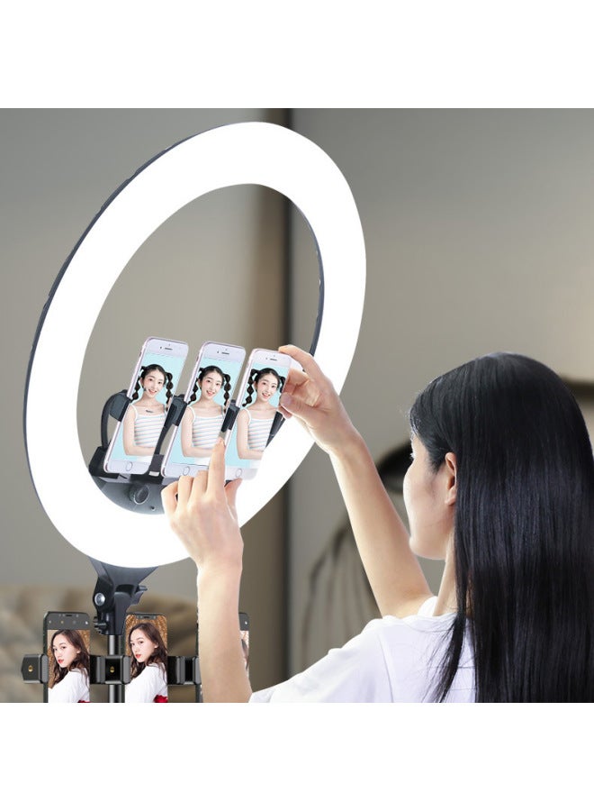 Loquat 18 Inch ZB-F348 22 Inch ZB-F488 LED Ring Light Beautiful Anchor Live Light Bright Muscle Fill Light-Light Source Color:22 Inch ZB-F488 Three-position - Image 3