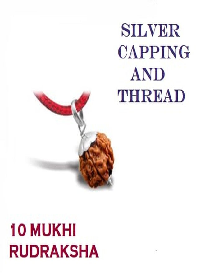IRIS GEMS Ten mukhi rudraksha original certified 10 mukhi rudraksha nepal brown bead for men & women for pendant bracelet ten face rudraksha दस मुखी रुद्राक्ष 10 फेस रुद्राक्ष नेपाली 10 मुखी रुद्राक्ष - Image 4