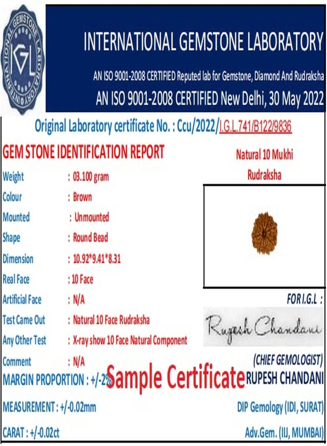 IRIS GEMS Ten mukhi rudraksha original certified 10 mukhi rudraksha nepal brown bead for men & women for pendant bracelet ten face rudraksha दस मुखी रुद्राक्ष 10 फेस रुद्राक्ष नेपाली 10 मुखी रुद्राक्ष - Image 5