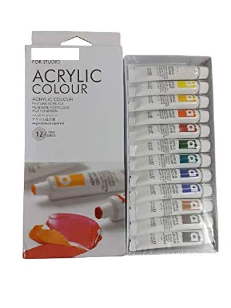 53 Arts 53ARTS Artist Quality 12 Shades Paint Set (Acrylic) - Image 1