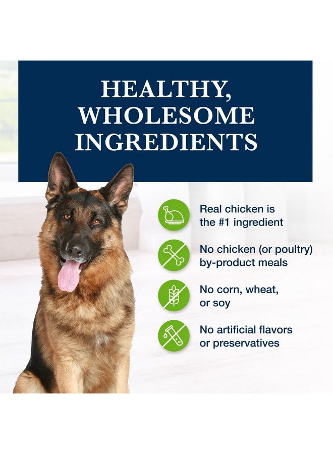 Blue Buffalo Natural Veterinary Diet Gastrointestinal Support Wet Dog Food, Veterinarian Prescription Required, Chicken, 12.5-oz. Cans (12 Count) - Image 5