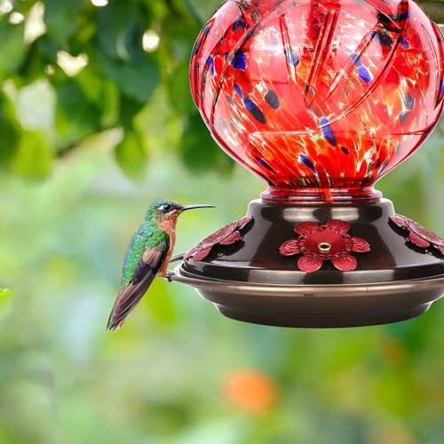 BOLITE Hummingbird Feeder, Hand Blown Glass Hummingbird Feeders for Outdoors Hanging, with Ant Moat and 5 Feeding Ports, 22 Ounces, Peony Flower Shape, Red, Gifts for Women Men, Gifts for Mom Dad - Image 3