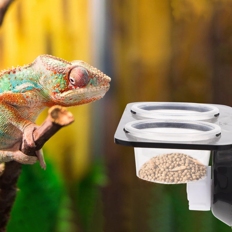 Double Compartment Reptile Food Bowl with Suction Cups Large Capacity Feeding Station for Geckos and Lizards - Image 5