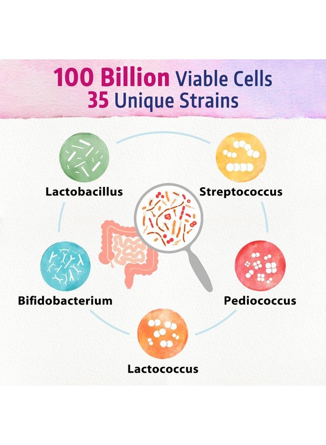 بوناويل بروبيوتيك للنساء ١٠٠ ب، مع بريبيوتيك، وإنزيمات هضمية، وتوت بري عضوي لصحة المهبل الأنثوية، والهضم، والمناعة، وثبات على الرف، وإطلاق متأخر، ٣٠ كبسولة نباتية - Image 4